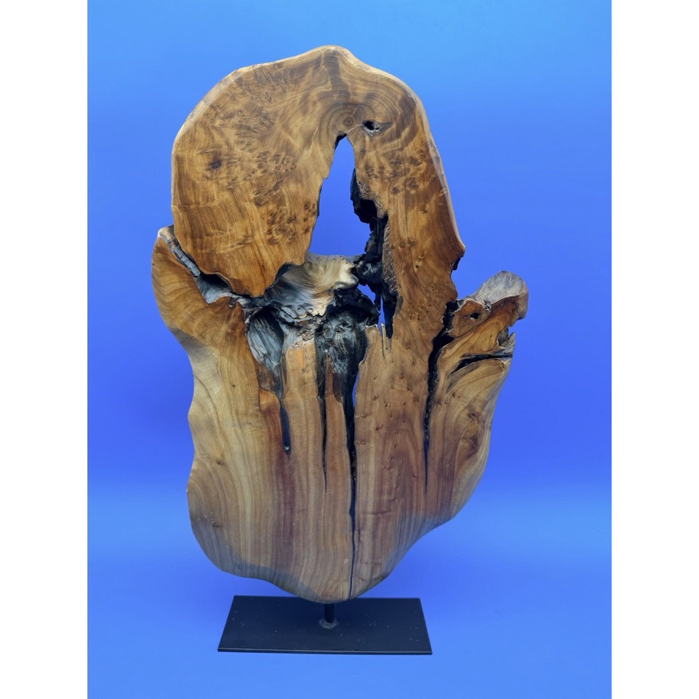 Natural Burl Root Wood Sculpture Live Edge Abstract Art Black Metal Stand Decor